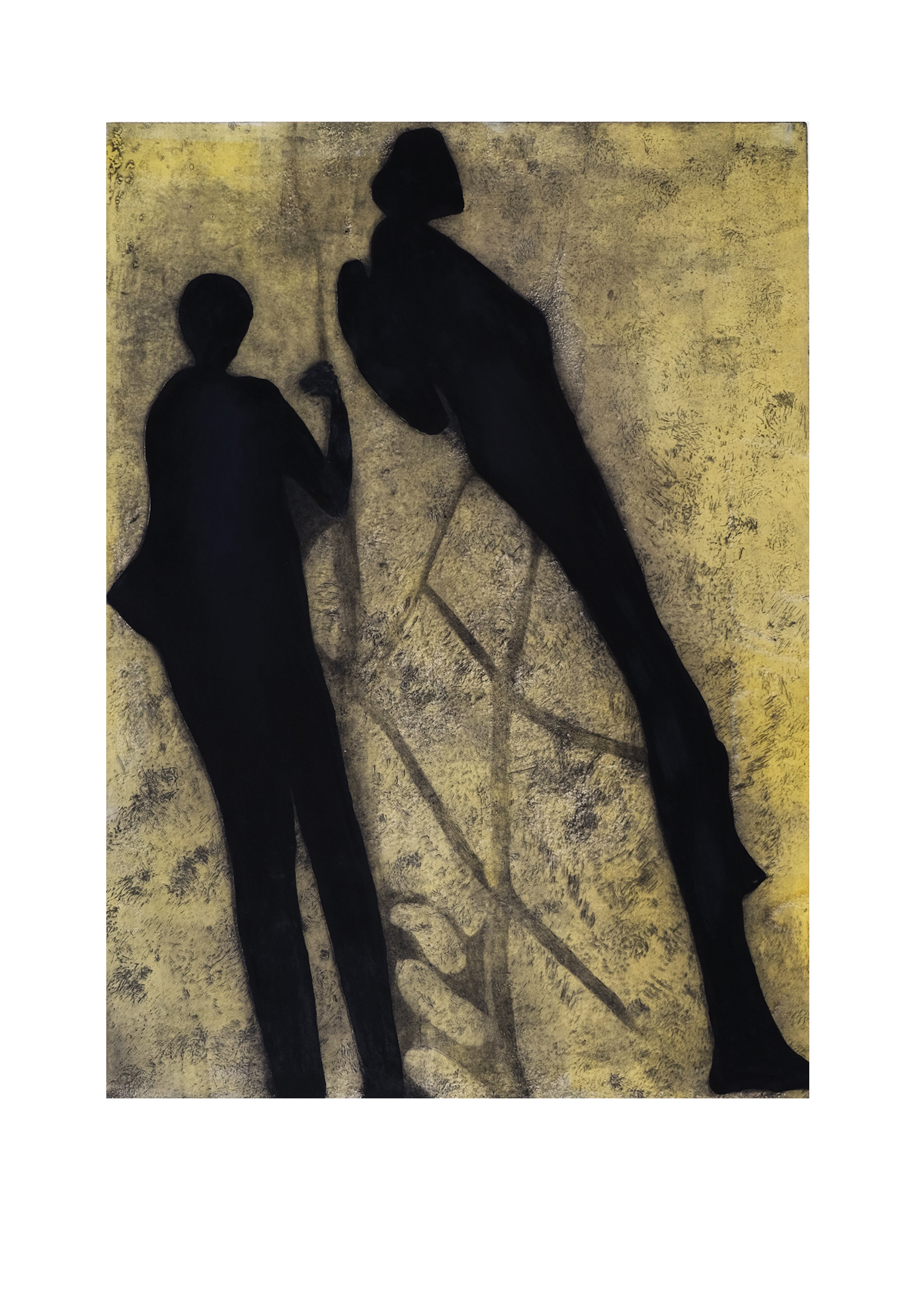 shadows