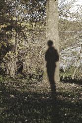 shadow crawling onto a tree, 2015<br>Fotografie 600 x 400 mm